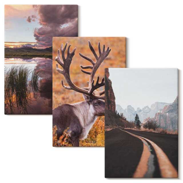 Canvas Wall Art Set Of 3 - Mountain Landscapes With Reindeer & A Road in Nature, Brown Art, Decor - image 1