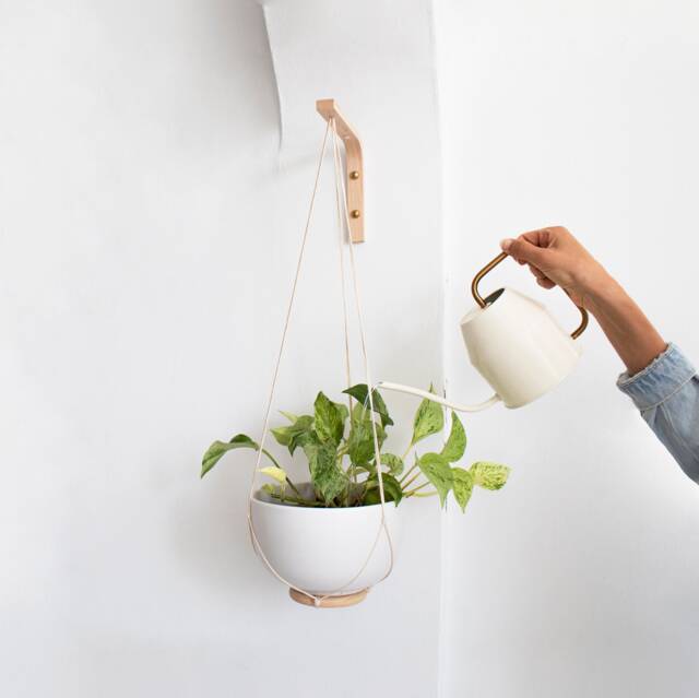 Wall Hook For Plant, Wooden Plant Hanger Indoor Or Outdoor, Holder, Hook, Plants Hanging On Walls - image 1