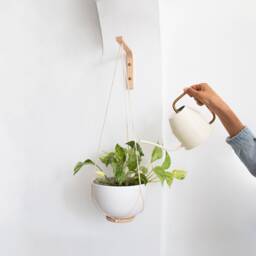 Wall Hook For Plant, Wooden Plant Hanger Indoor Or Outdoor, Holder, Hook, Plants Hanging On Walls