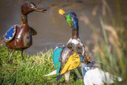 Recycled Metal Coloured Duckling. Outdoor Garden Sculptures, Statue. Ducks