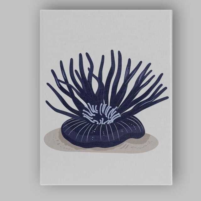 Dark Blue Sea Anemone Marine Life Minimalist Illustration Canvas Wall Art Print Decor Picture Ready To Hang - image 1