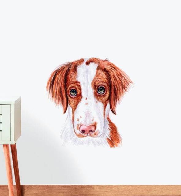 Brittany Spaniel Dog Wall Sticker Decal - Dogs & Pets Stickers, Art, Decals, Kids Animals Decals
