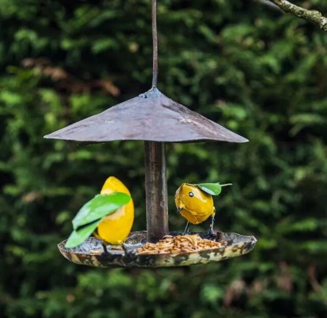 Hanging Handmade Goldcrest Bird Feeder - image 1
