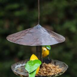 Hanging Handmade Goldcrest Bird Feeder - thumbnail 3