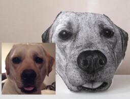 Personalized Dog Pillow, Custom Hand-Painted Pet Portrait Cushion - thumbnail 1