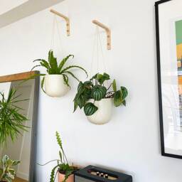 Two Wall Plant Hangers, Hooks For Hanging Plants, Wooden Hanger, Holder Wall, Hook Planter - thumbnail 3