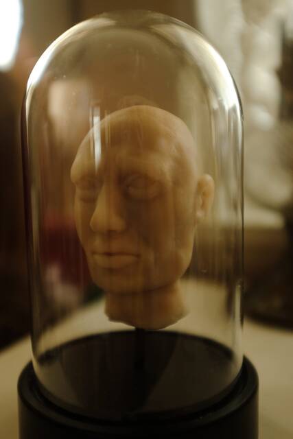 Head Under Glass, Made Of Silicone, Decorative, Cabinet Curiosities, Unusual & Unique Item - image 1