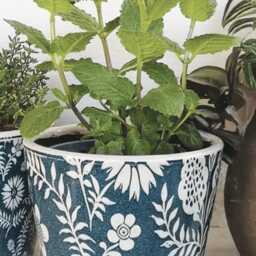 Teal Floral Dutch Pot - 2 Designs Crackle Glaze Plant Blue Rustic Cover Succulent Planter House - thumbnail 3