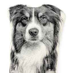 Australian Shepherd Pillow, Silkscreened Contour Throw Dog Lover Gift - thumbnail 3