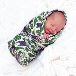 Sloth Giant Muslin - Organic Swaddle Blanket New Baby Gift - thumbnail 3