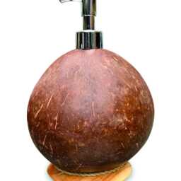 Round Coconut Shell Soap & Lotion Dispenser On Carved Base - thumbnail 2