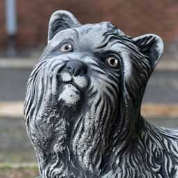 Concrete Yorkshire Terrier Sculpture Garden Stone Yorkie Statue Outdoor Dog Figurine Cement Pet Ornament Memorial Decor Yard Art Gift - thumbnail 2