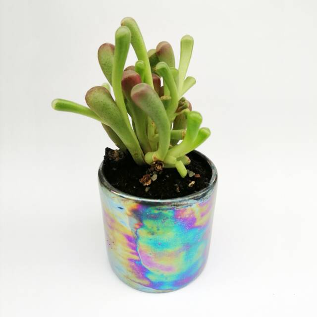 Iridescent Succulent Pot, Cactus Planter, Ceramic Planter, Easter Gift , Mini Plant Pots Black Modern Pot - image 1