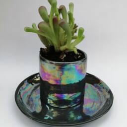 Iridescent Succulent Pot, Cactus Planter, Ceramic Planter, Easter Gift , Mini Plant Pots Black Modern Pot - thumbnail 2