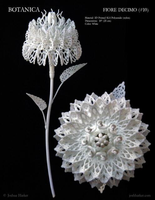 Fiore Decimo - 3D Printed Filigree Flower By Joshua Harker
