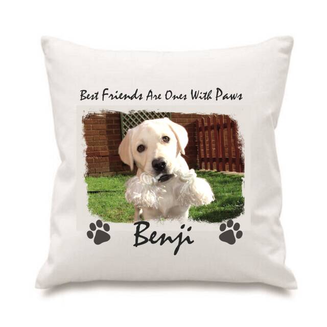 Best Friends With Paws Cushion Cover Personalised Dog Or Cat Love Gift Soft Pillow