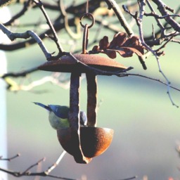 Handmade Hanging Bird Feeder, Metal Garden Decoration - thumbnail 1