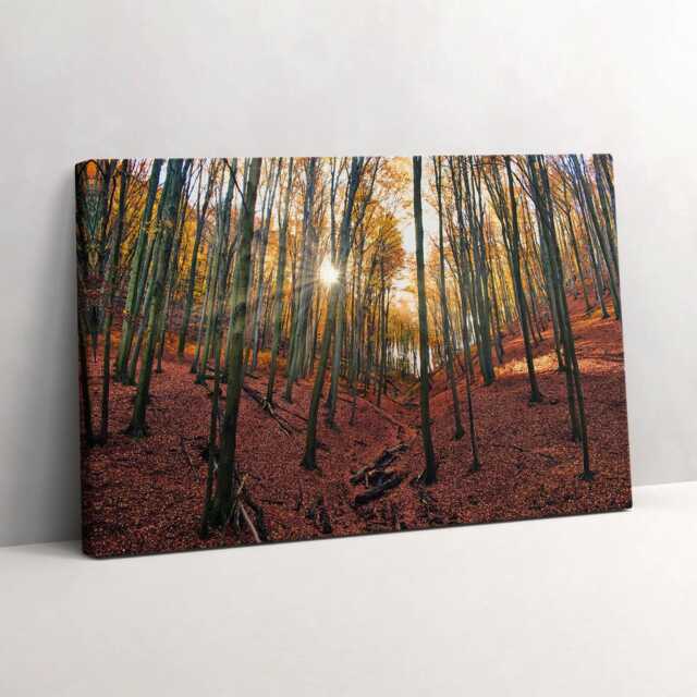 Sunset & Trees Canvas, Wall Art Picture, Brown Decoration, Travel Canvas - image 1
