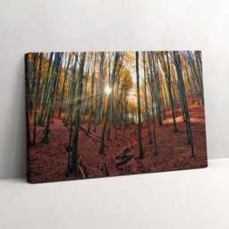Sunset & Trees Canvas, Wall Art Picture, Brown Decoration, Travel Canvas - thumbnail 1
