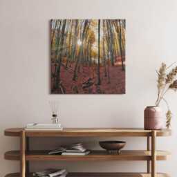 Sunset & Trees Canvas, Wall Art Picture, Brown Decoration, Travel Canvas - thumbnail 2