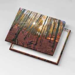 Sunset & Trees Canvas, Wall Art Picture, Brown Decoration, Travel Canvas - thumbnail 3