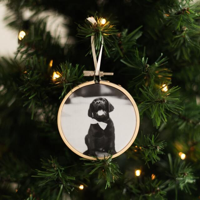 Pet Christmas Tree Decoration, Mini Embroidery Hoop, Gift For Dog Lovers, Gifts Cat Remembrance Ornament - image 1