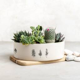 Multi Succulent Cocktail Planter Pot, Pottery Indoor Planter, Housewarming/Birthday Gift, Unique Ceramic Plants & Spices Pot - thumbnail 2