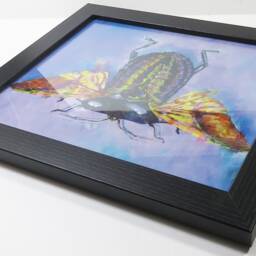Purple Heart Beetle Art Print, Framed Insect Wall Decor - 8x10 - thumbnail 2