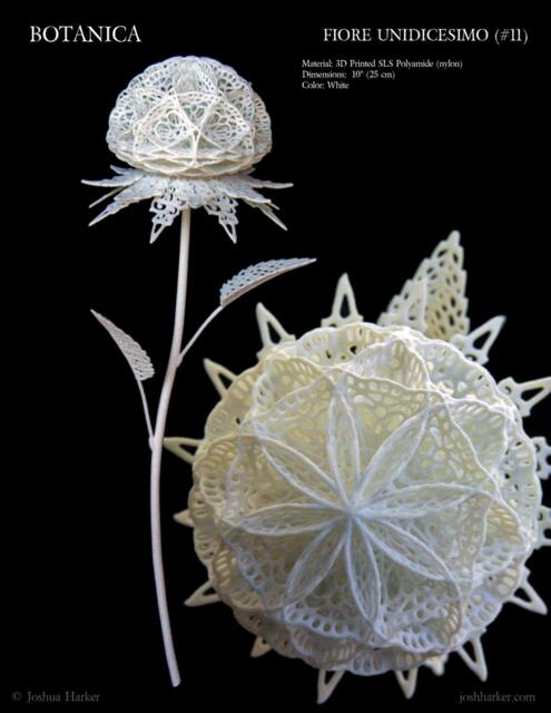 Fiore Unidicesimo - 3D Printed Filigree Flower By Joshua Harker