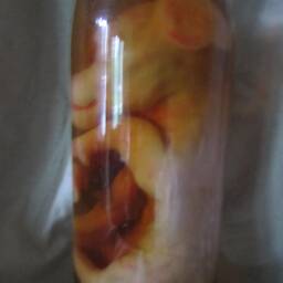 Taxidermy Cabinet Of Curiosities Fetus Pig Cyclops Oddities - thumbnail 3