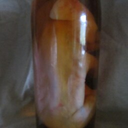 Taxidermy Cabinet Of Curiosities Fetus Pig Cyclops Oddities - thumbnail 4