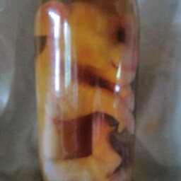 Taxidermy Cabinet Of Curiosities Fetus Pig Cyclops Oddities - thumbnail 2