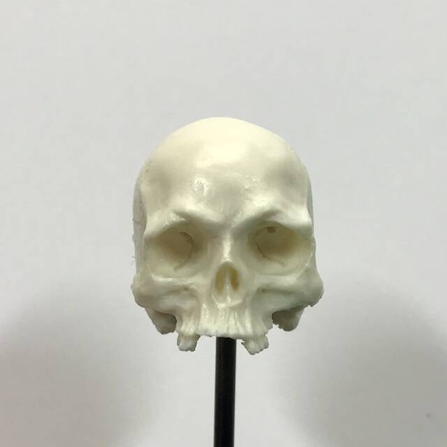 1/7Th Scale Bone Missing Middle Teeth Resin Skull Perfect For 10 Inch Figures - image 1