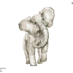 Watercolour Elephant Wall Sticker, Stickers, Nursery Theme, Room Decal - thumbnail 3