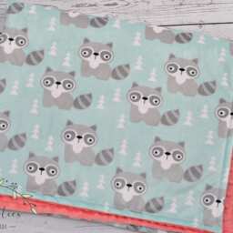 Raccoon Baby Blanket-Personalized Baby Blanket-Raccoon Minky Blanket-Aqua Mint Personalized Blanket Boy Girl Blanket - thumbnail 2