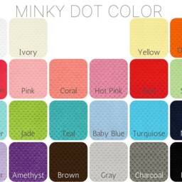 Raccoon Baby Blanket-Personalized Baby Blanket-Raccoon Minky Blanket-Aqua Mint Personalized Blanket Boy Girl Blanket - thumbnail 4