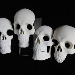 Full Size Skull Wall Art Sculpture - Set Of 4 Human Skulls Gothic 3D Printed Decor, White - thumbnail 2