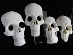 Full Size Skull Wall Art Sculpture - Set Of 4 Human Skulls Gothic 3D Printed Decor, White - thumbnail 1