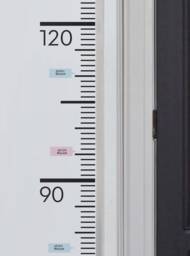 Growth Chart Ruler Decal in Centimeters - Children's Vinyl Wall - thumbnail 1