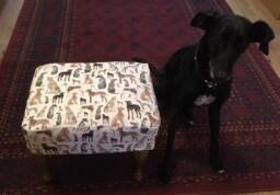 Foot Stool With Removable/Washable Cover, Dog Lurcher Sighthound Material - thumbnail 1