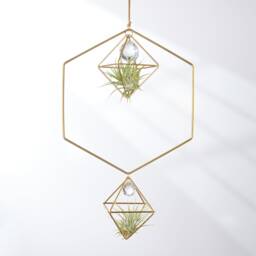 Hanging Air Plant Holder Hexagon With Prism, Hanger, Geometric Plant, Display, Lover Gift, Decor