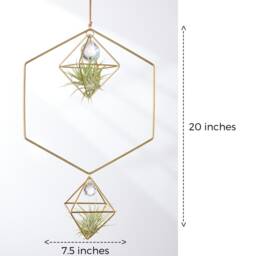 Hanging Air Plant Holder Hexagon With Prism, Hanger, Geometric Plant, Display, Lover Gift, Decor - thumbnail 2