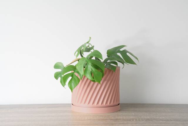 "Penelope Planter With Drainage & Saucer in Country Pink, Unique 3D-Printed Plant Pot, Small To Large Sizes 4"" 5"" 6"" 7"" 8" - image 1