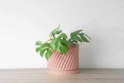"Penelope Planter With Drainage & Saucer in Country Pink, Unique 3D-Printed Plant Pot, Small To Large Sizes 4"" 5"" 6"" 7"" 8" - thumbnail 1