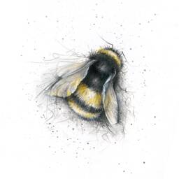 Bumble Bee Cushion, Pillow, Soft Furnishings, Home Decor, Art For The - thumbnail 2