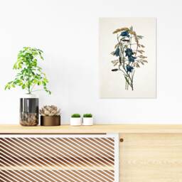 Antique Botanical Art Print Poster Vintage Wall Flowers Floral Bluebell Harebell Nature Leaf Plant Illustration Victorian Beautiful A3 - thumbnail 2