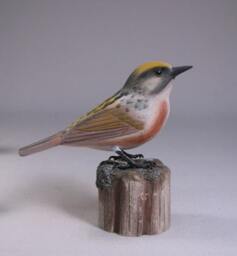 Chestnut-Sided Warbler Wood Carving - thumbnail 2