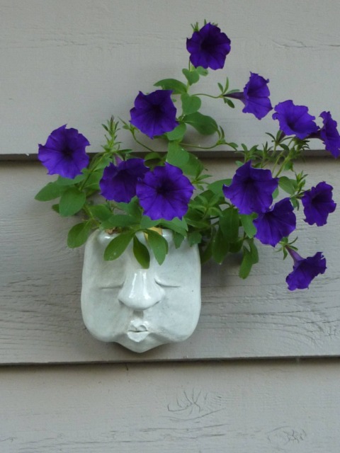 Crazy Planter Head - image 1