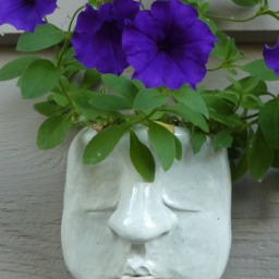 Crazy Planter Head - thumbnail 2