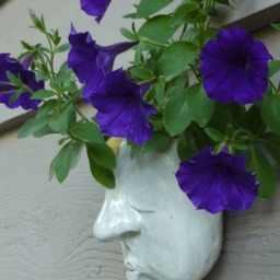 Crazy Planter Head - thumbnail 4